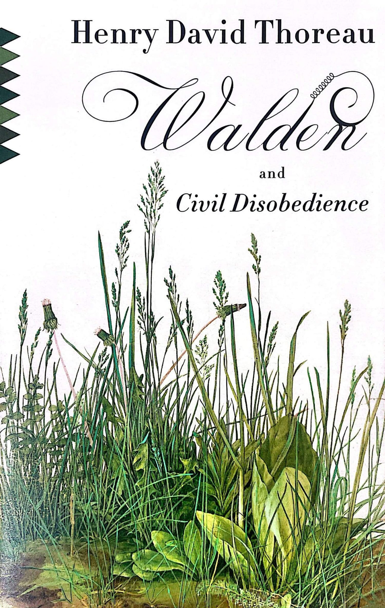 Walden and Civil Disobedience Front Cover by Henry David Thoreau