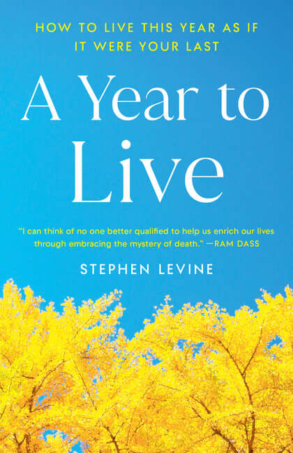 Year to Live: How to Live This Year as If It Were Your Last - Ingram