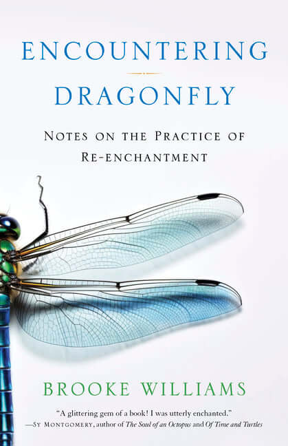 Encountering Dragonfly: Notes on the Practice of Re-Enchantment - Ingram