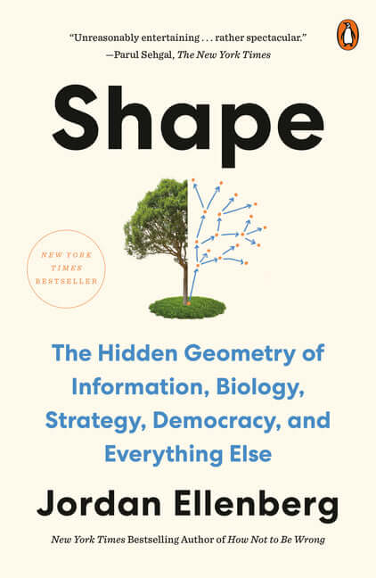 Shape: The Hidden Geometry of Information, Biology, Strategy, Democracy, and Everythingelse - Ingram