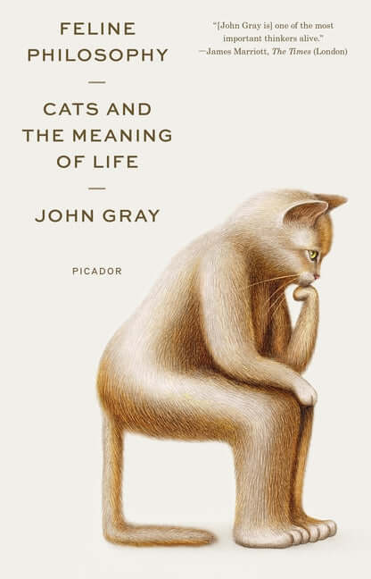 Feline Philosophy: Cats and the Meaning of Life - Ingram